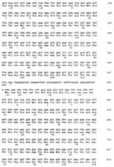 Figure imgf000047_0001