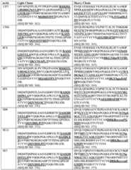 Figure imgf000052_0001