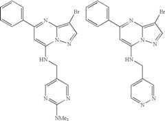 Figure US08580782-20131112-C00091