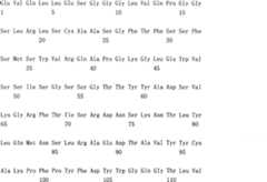 Figure A200780016674D00462