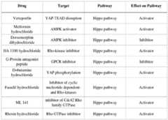 Figure imgf000066_0001