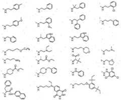 Figure imgf000011_0001