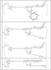 Figure BDA0002889616220001391