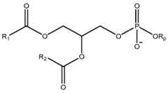 Figure imgf000338_0001