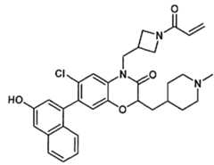 Figure imgf000081_0001
