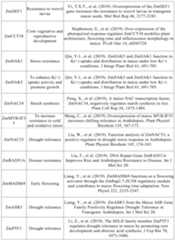 Figure PCTCN2022090268-appb-000050