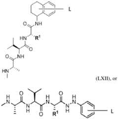 Figure imgf000069_0003