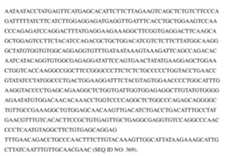 Figure imgf000340_0001