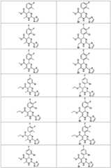 Figure FDA0003122494510000121