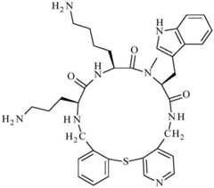 Figure BDA0001640213710003961