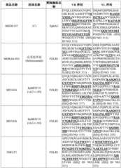 Figure BDA0003627552160001631