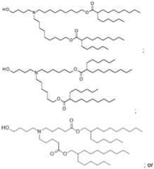 Figure imgf000019_0004