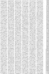 Figure IDA0002536600790000721