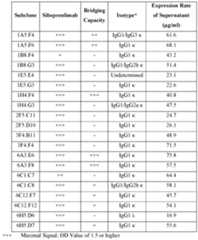 Figure imgf000052_0001