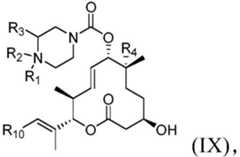 Figure FDA0002808063760000421