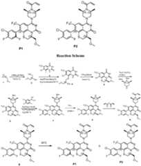 Figure imgf000479_0001