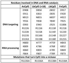 Figure imgf000026_0001