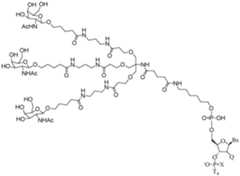 Figure imgf000303_0001