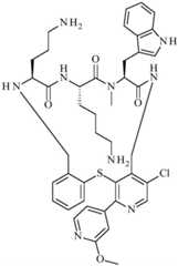 Figure BDA0001640213710005291