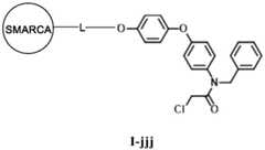 Figure BDA0003783300830001341