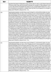 Figure BDA0003627552160001141