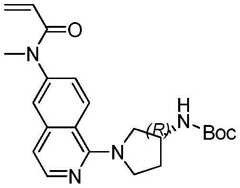 Figure BDA0003549429610001302