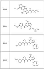 Figure imgf000311_0001