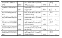 Figure 112017054487516-pct00159