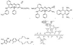 Figure imgf000014_0001