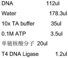 Figure BDA0000578239240000102
