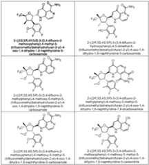 Figure imgf000030_0001