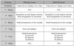 Figure imgf000038_0001