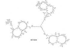 Figure 109124760-A0202-12-0029-16