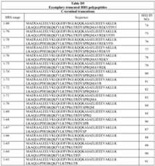 Figure imgf000081_0001