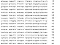 Figure 106137461-A0202-12-0291-146