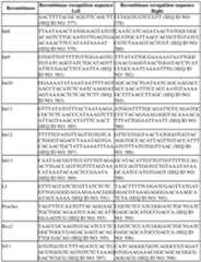 Figure imgf000539_0001