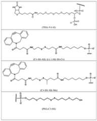 Figure 112019068966852-pct00034