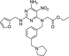 Figure BDA0000075082050001262