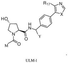 Figure BDA0003027048450001512