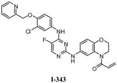 Figure BDA0001453135130003352