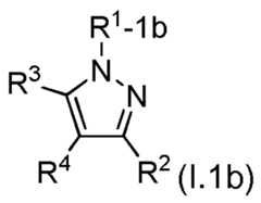 Figure imgf000010_0002