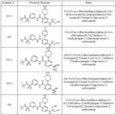 Figure imgf000013_0001