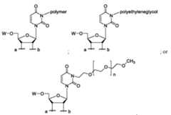 Figure imgf000058_0001