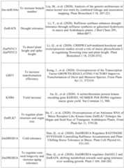 Figure PCTCN2022090268-appb-000047