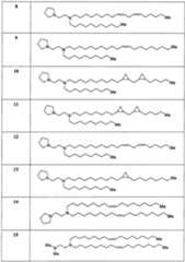 Figure imgf000018_0001