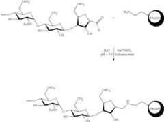 Figure US09408950-20160809-C00044