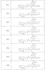 Figure A2006800095860017C1