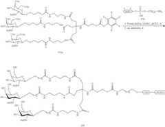 Figure US10793862-20201006-C00242