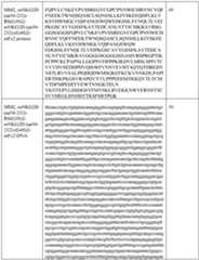 Figure imgf000141_0001