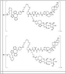 Figure BDA0002889616220001591